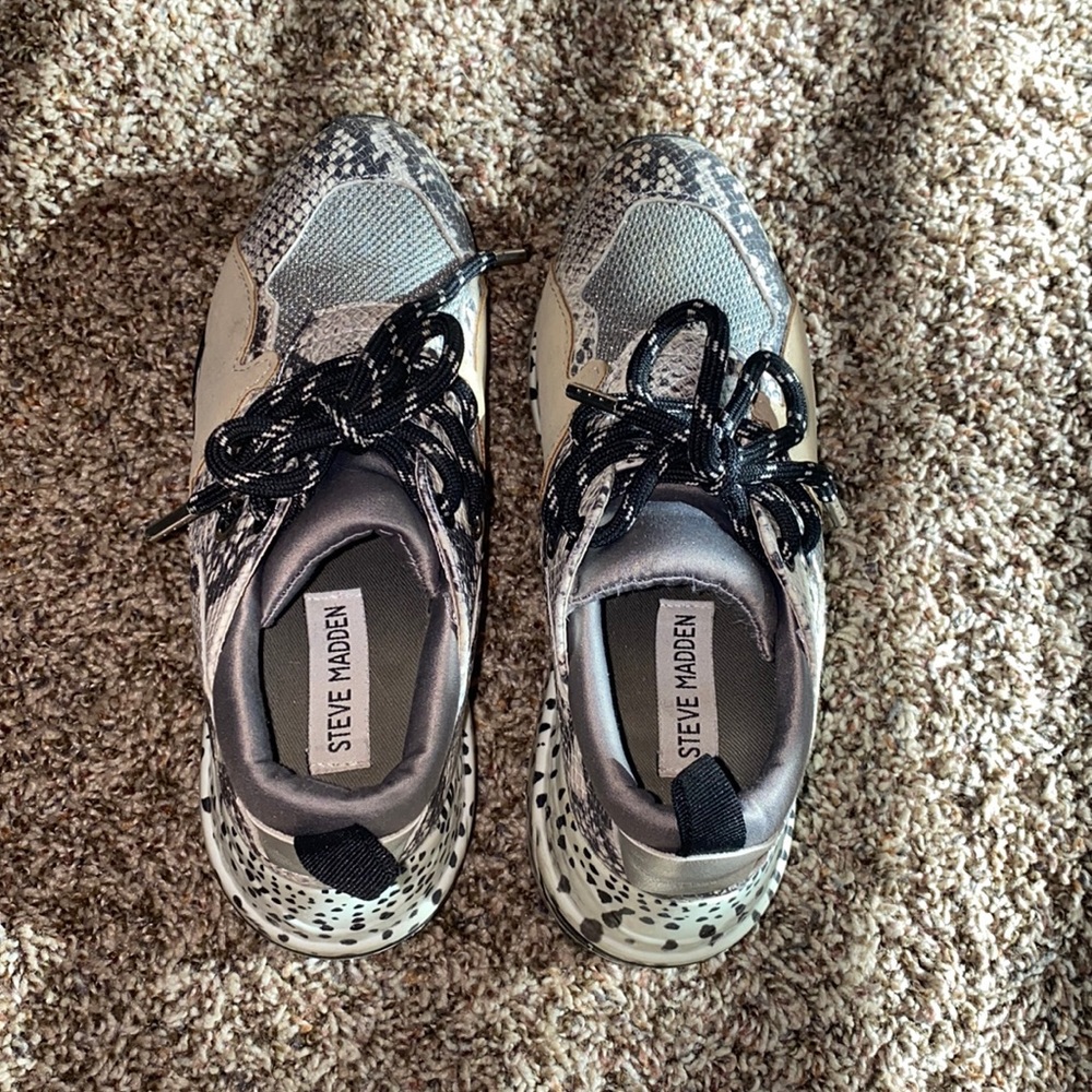 snake skin steve madden shoes
